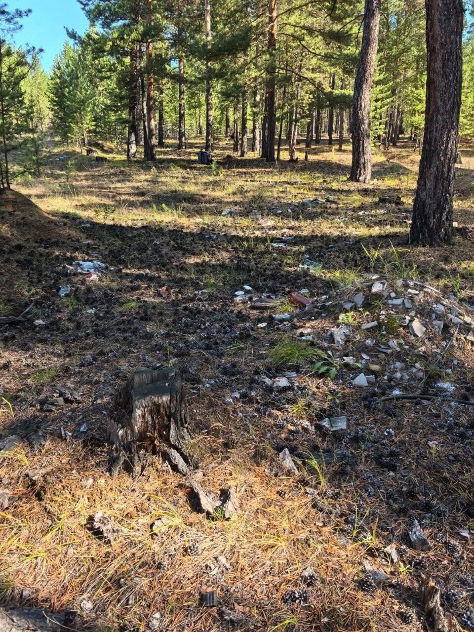 Около 400 кубов мусора вывезли из леса у посёлка Новая