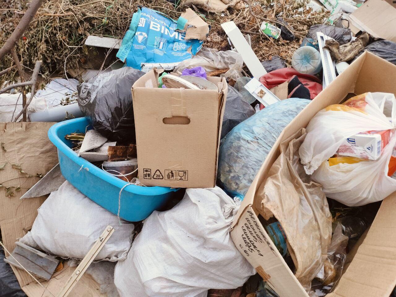 Огромная свалка мусора обнаружена во дворе дома в Чите