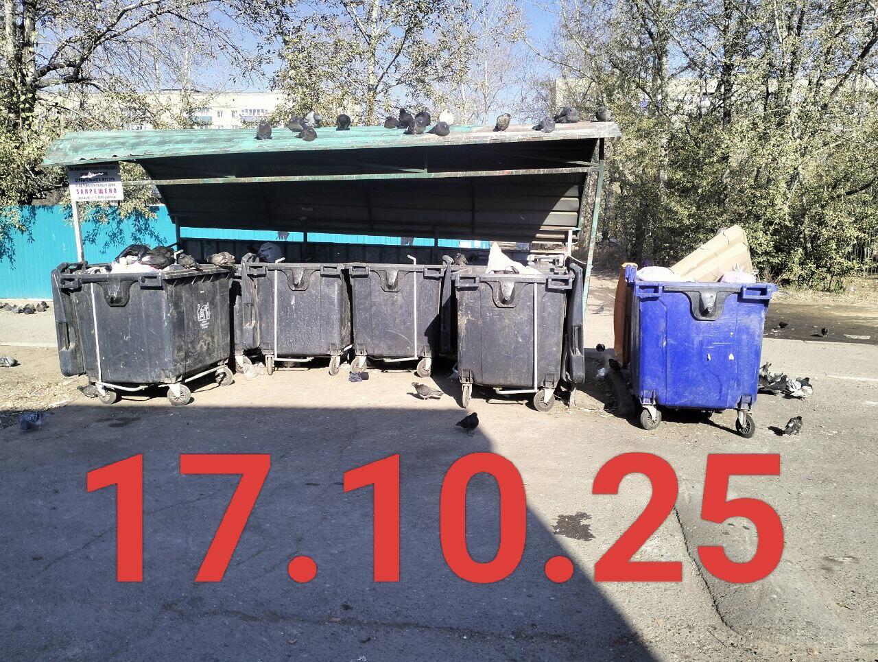 Читинцам предлагают требовать перерасчет оплаты за вывоз мусора