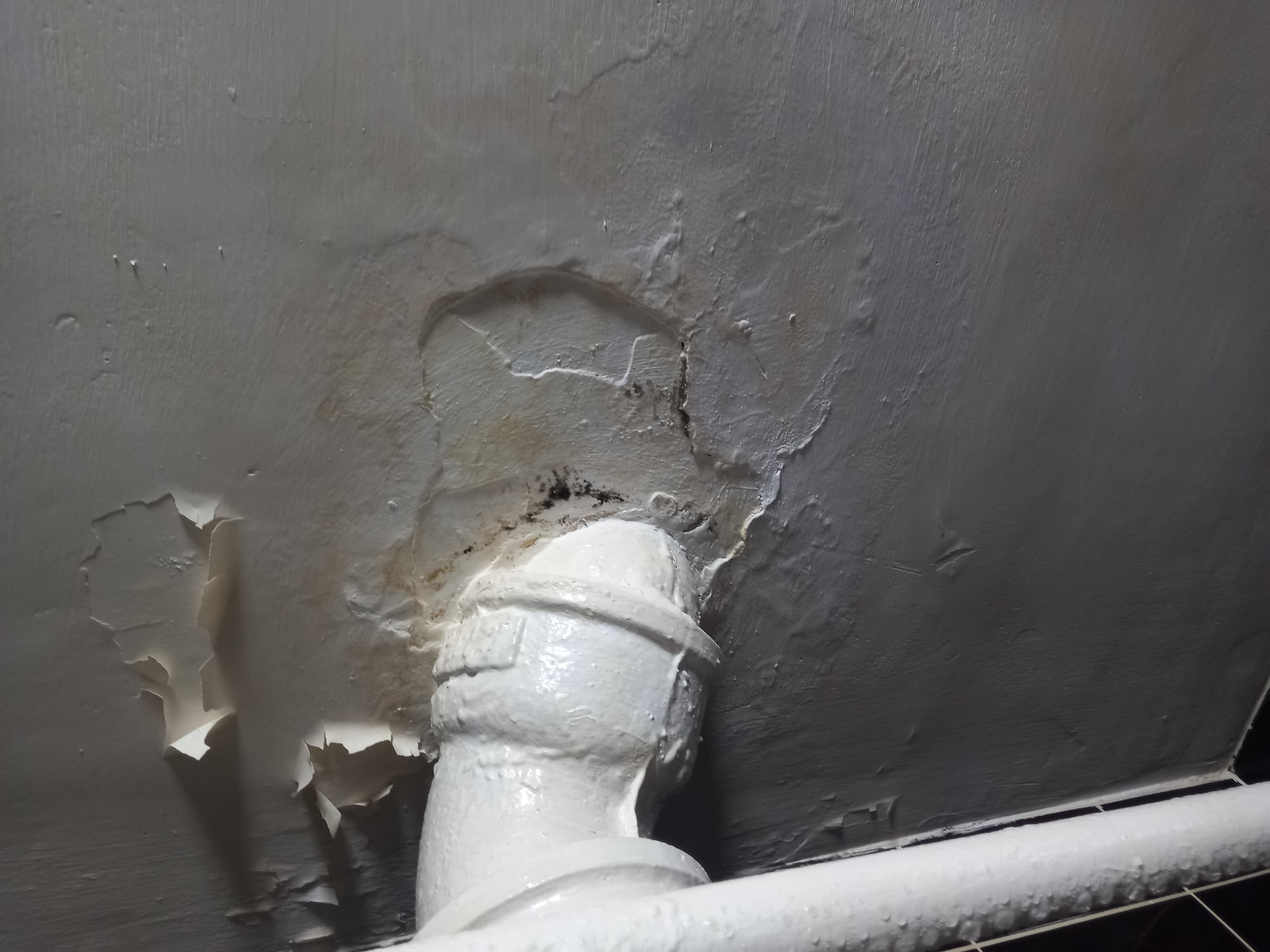 Еще один дом с плесенью обнаружен в Чите