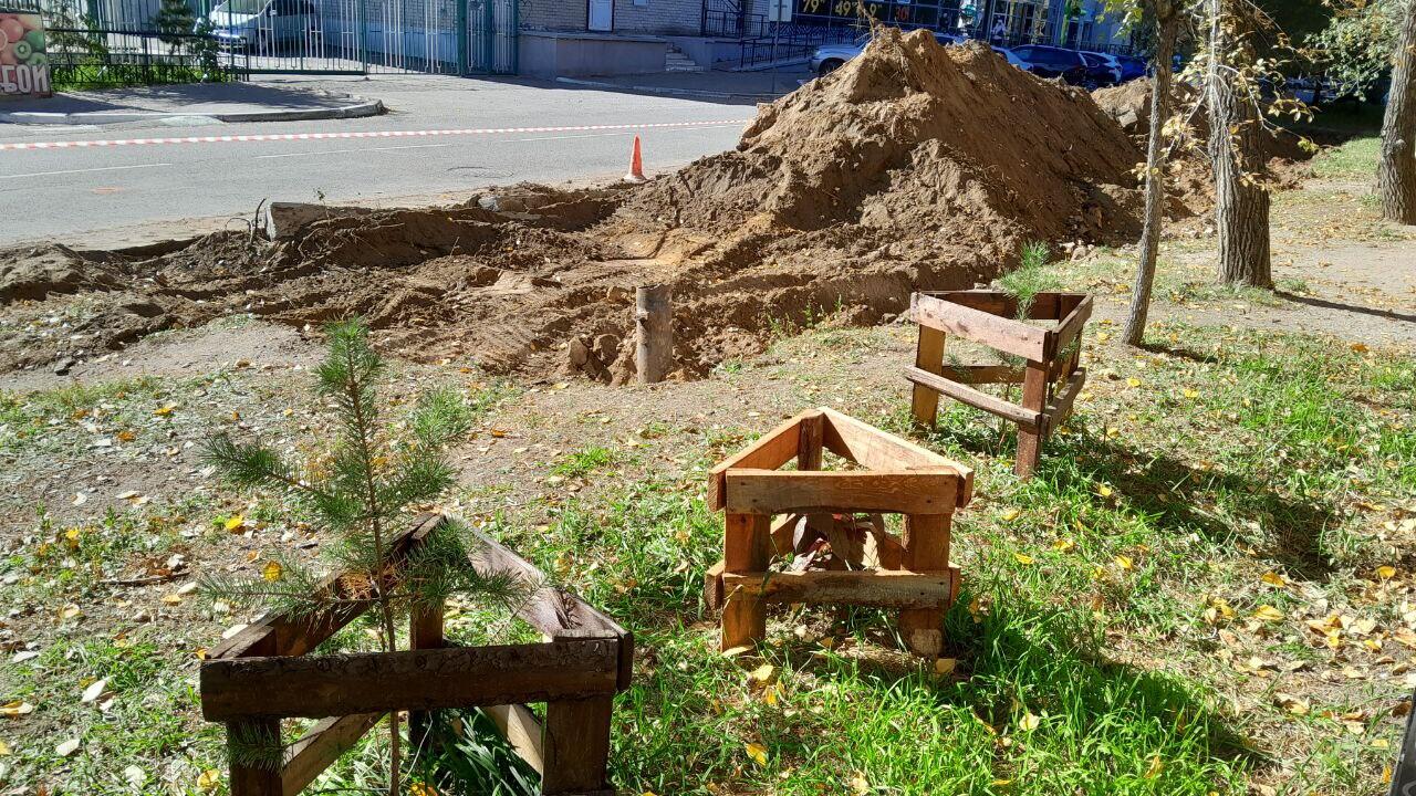 Жители Угданской пожаловались на вырубку деревьев ради парковок