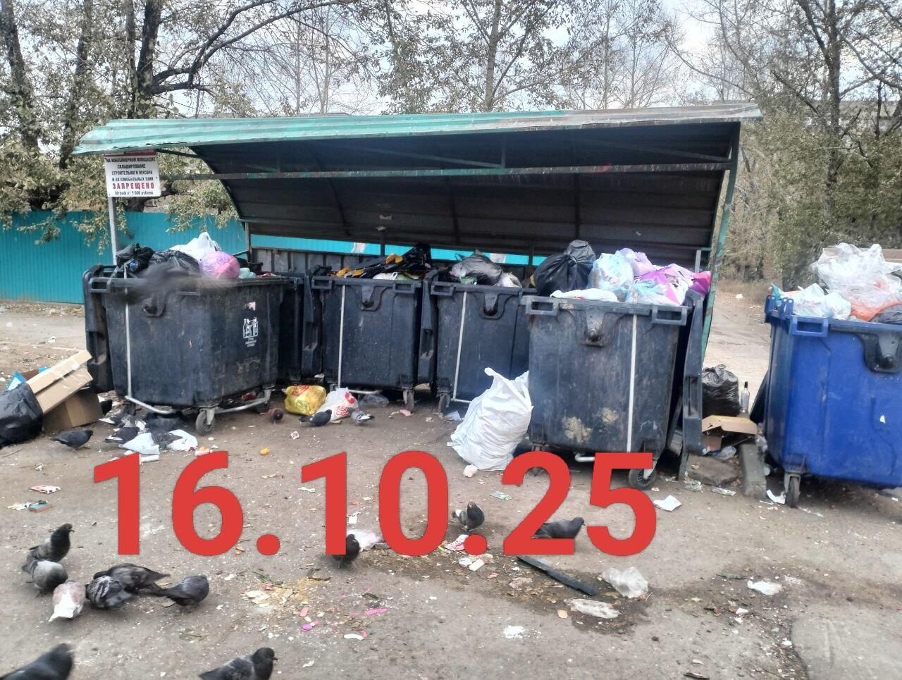 Читинцам предлагают требовать перерасчет оплаты за вывоз мусора