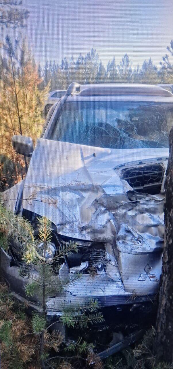 Смертельное ДТП произошло в Читинском районе