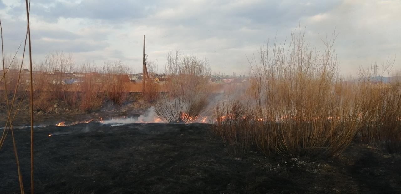 Житель Смоленки пытался задержать поджигателя травы возле жилых домов