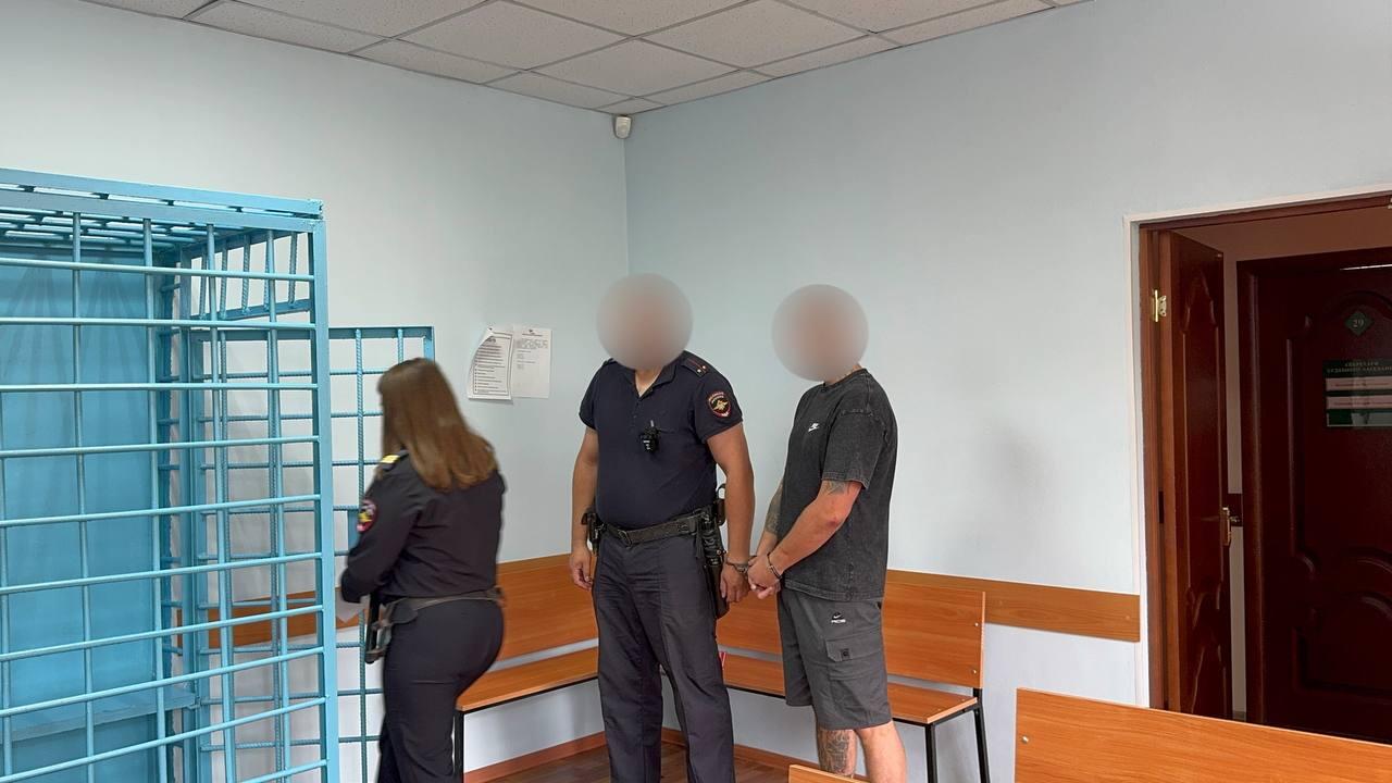 Обвиняемого в попытке изнасилования девушки заключили под стражу (18+)