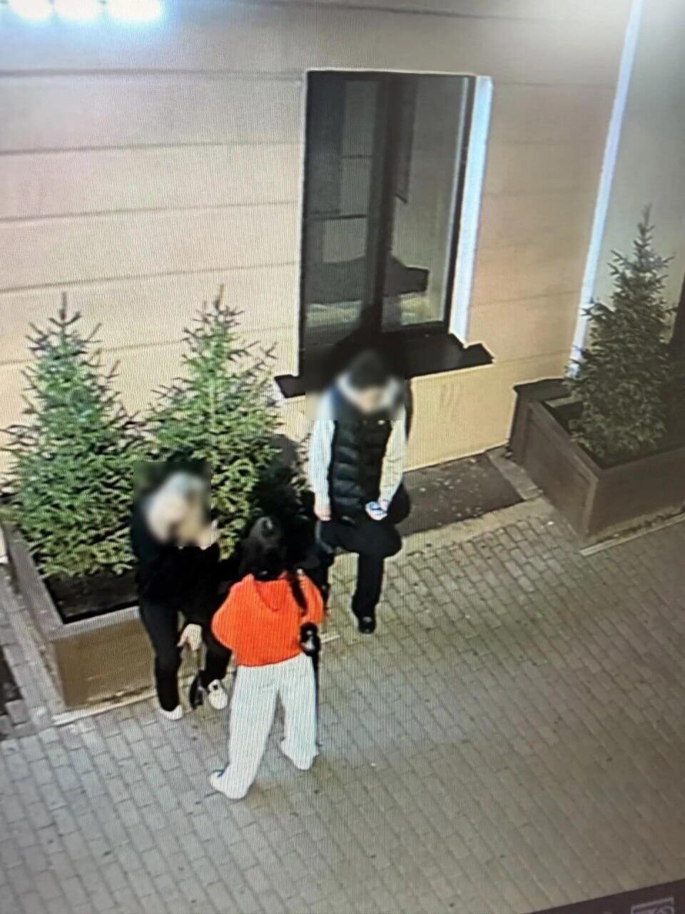 Вандалы-подростки повредили ели возле новой аптеки на Лермонтова