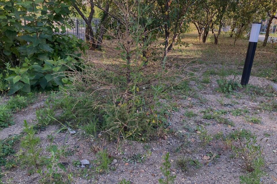 ЛИЧНОЕ ДЕЛО: Наследие Александра Сапожникова. Часть 2