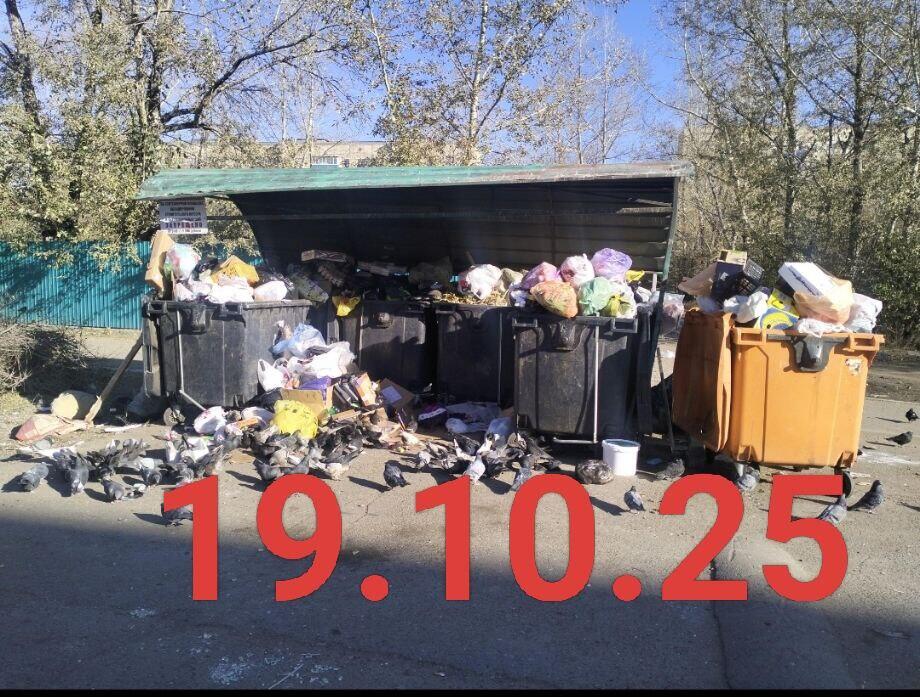 Читинцам предлагают требовать перерасчет оплаты за вывоз мусора