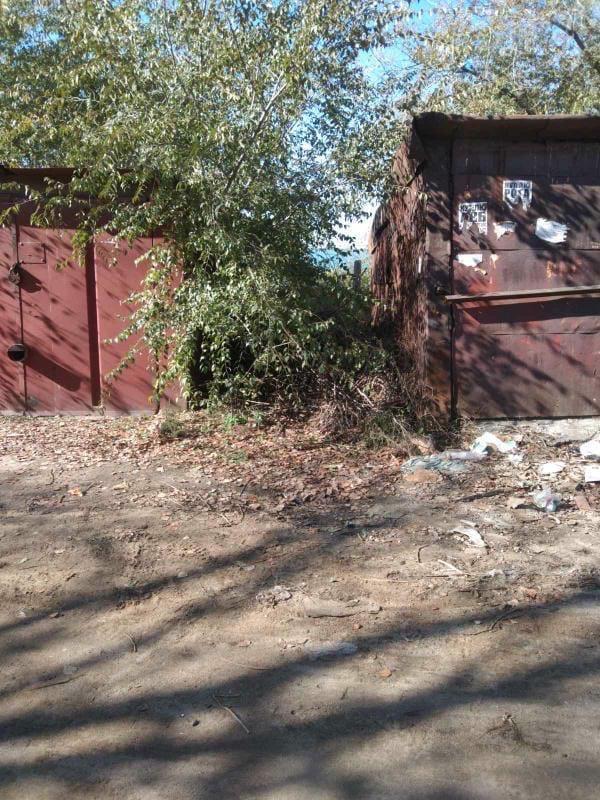 Жительница Каштака пожаловалась на мусор и брошенные деревья