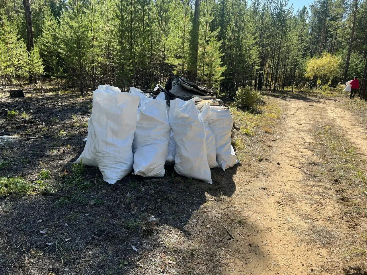 Около 400 кубов мусора вывезли из леса у посёлка Новая