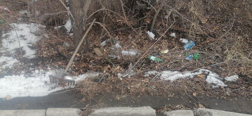 Читинцы показали, как выглядит заваленная мусором набережная