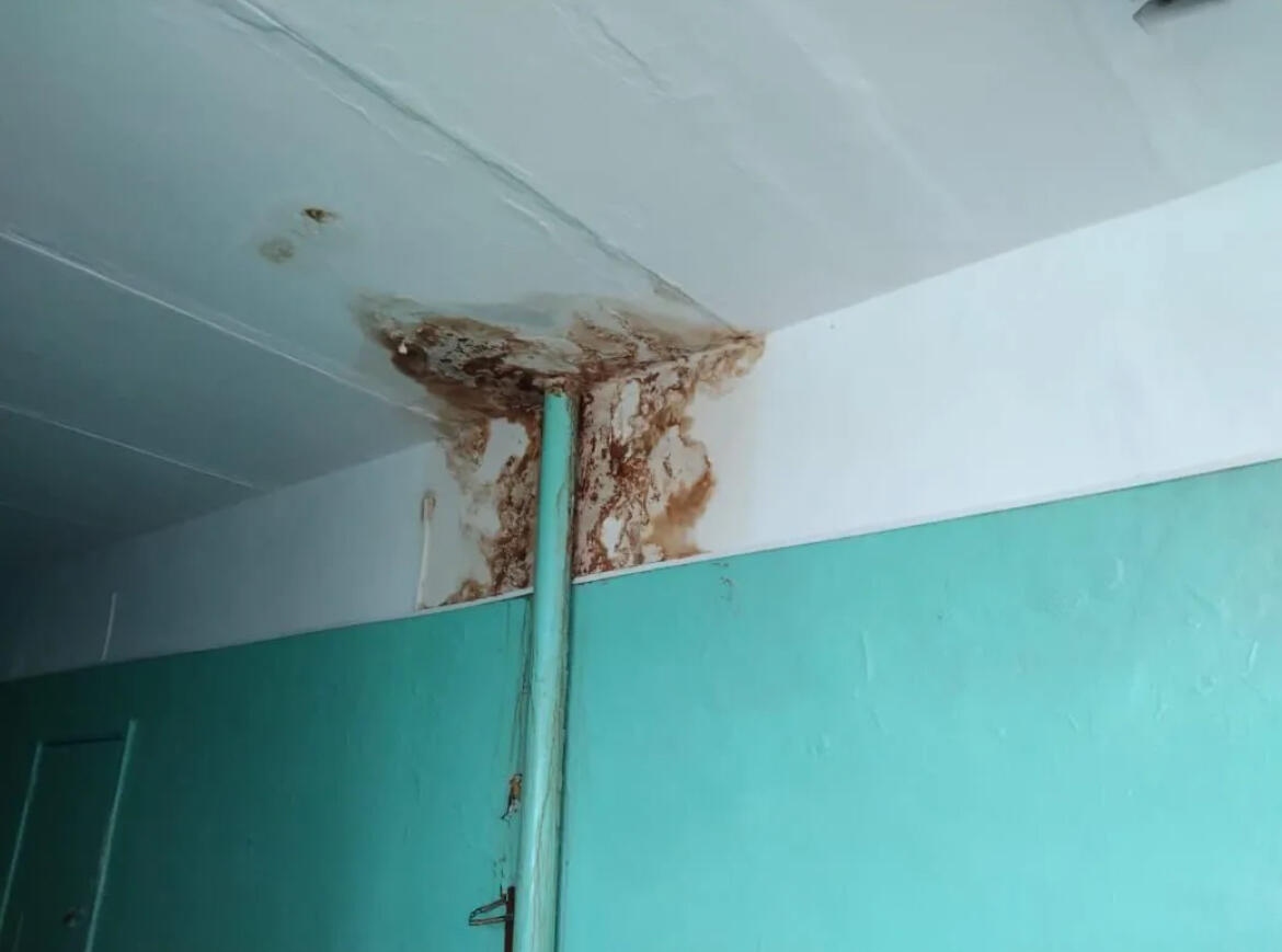 Жители села Богдановка о местной школе: «это кошмар, как будут учиться дети?»