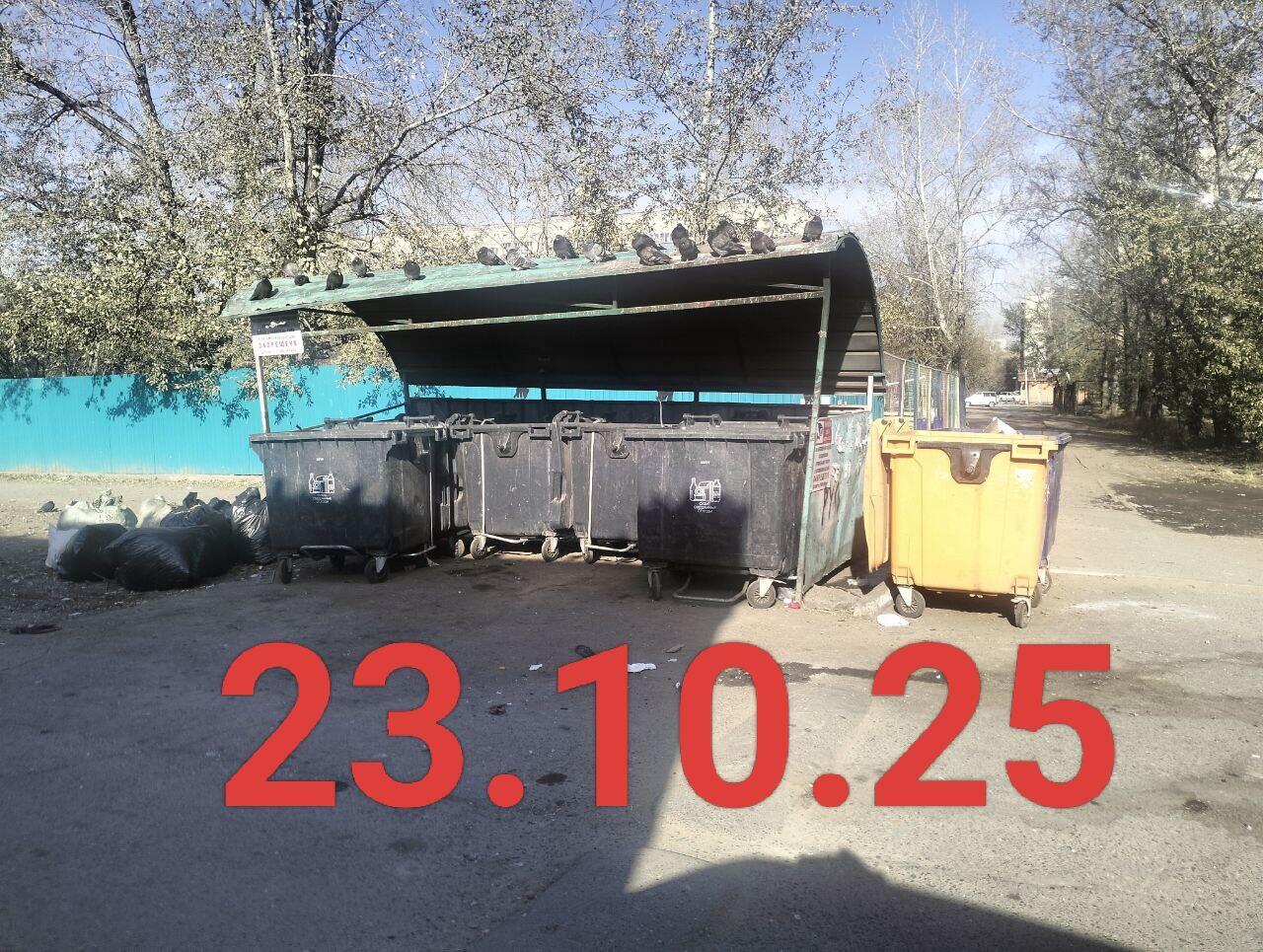 Читинцам предлагают требовать перерасчет оплаты за вывоз мусора