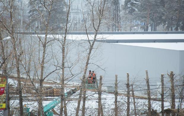 Более чем у 30 деревьев в Чите срезали кроны – очевидец