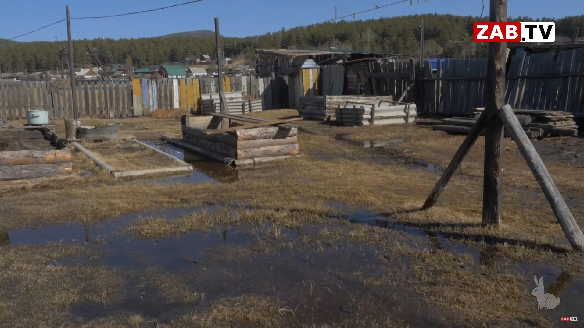 Дом в Атамановке уже шестой год топят грунтовые воды: «Тоните или  переезжайте в общежитие»