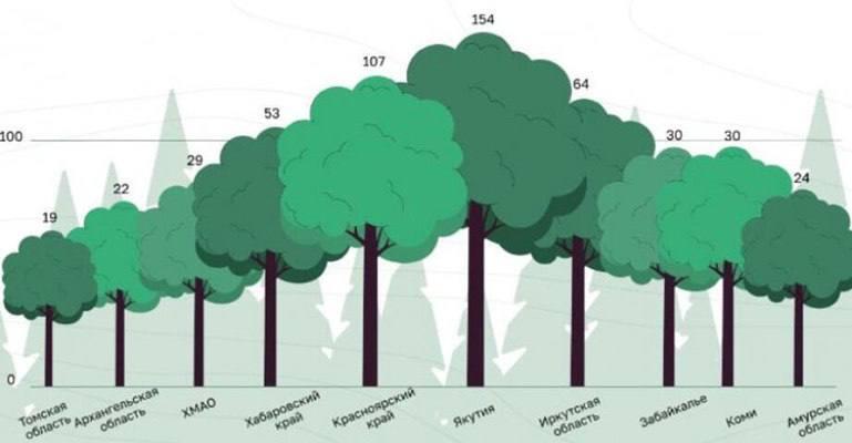 Минприроды края: Забайкалье вошло в ТОП-10 самых «лесистых» регионов России
