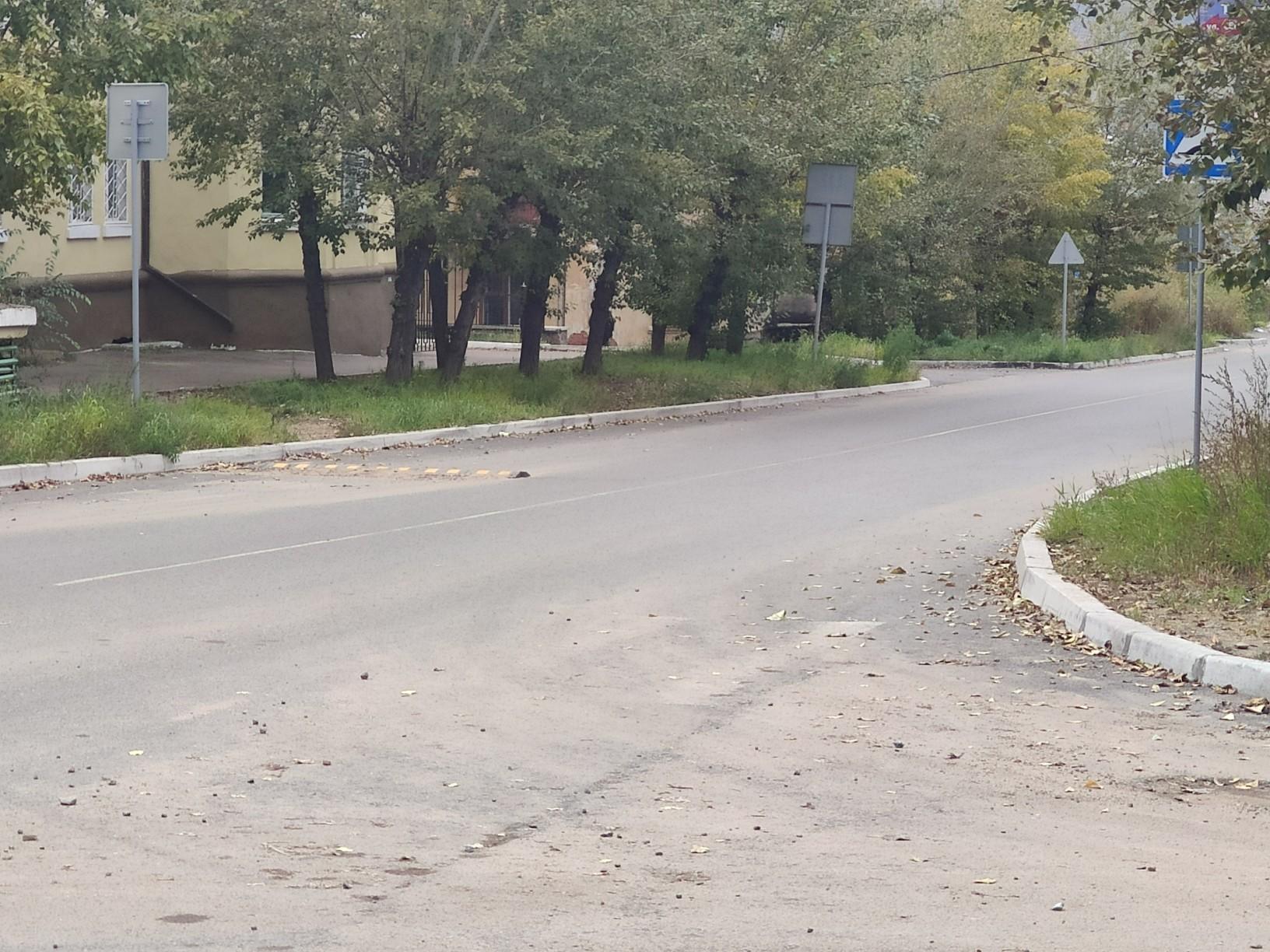 Лежачие полицейские возле школы 18 «отлетают» из-за нарушений их установки