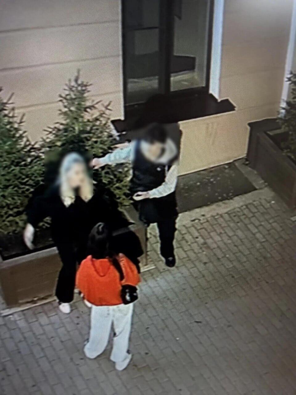 Вандалы-подростки повредили ели возле новой аптеки на Лермонтова