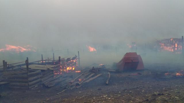 Тушение пожара в Усть-Ималке осложняет ветер из Монголии, где бушует песчаная буря