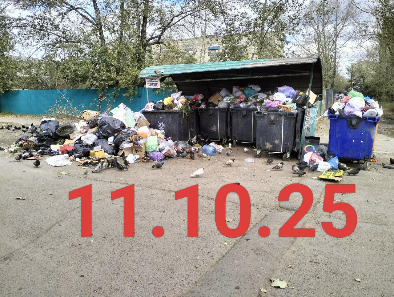 Читинцам предлагают требовать перерасчет оплаты за вывоз мусора