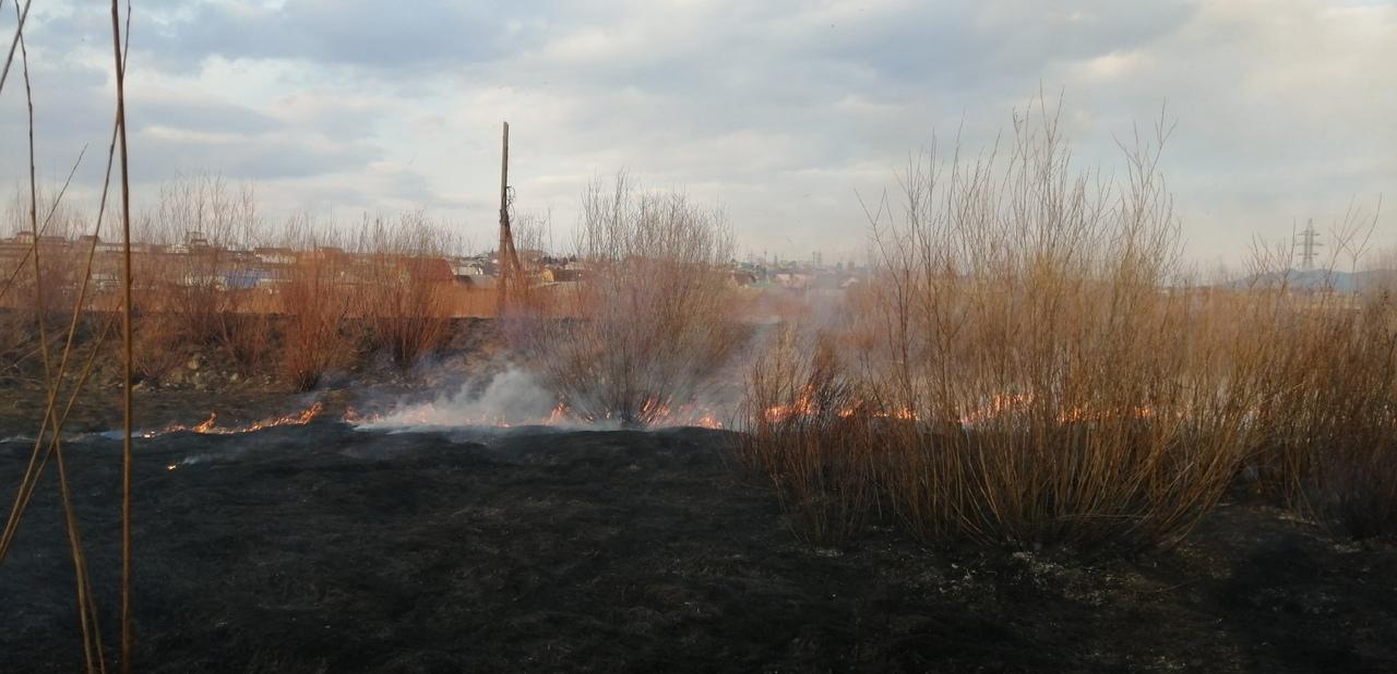 Житель Смоленки пытался задержать поджигателя травы возле жилых домов