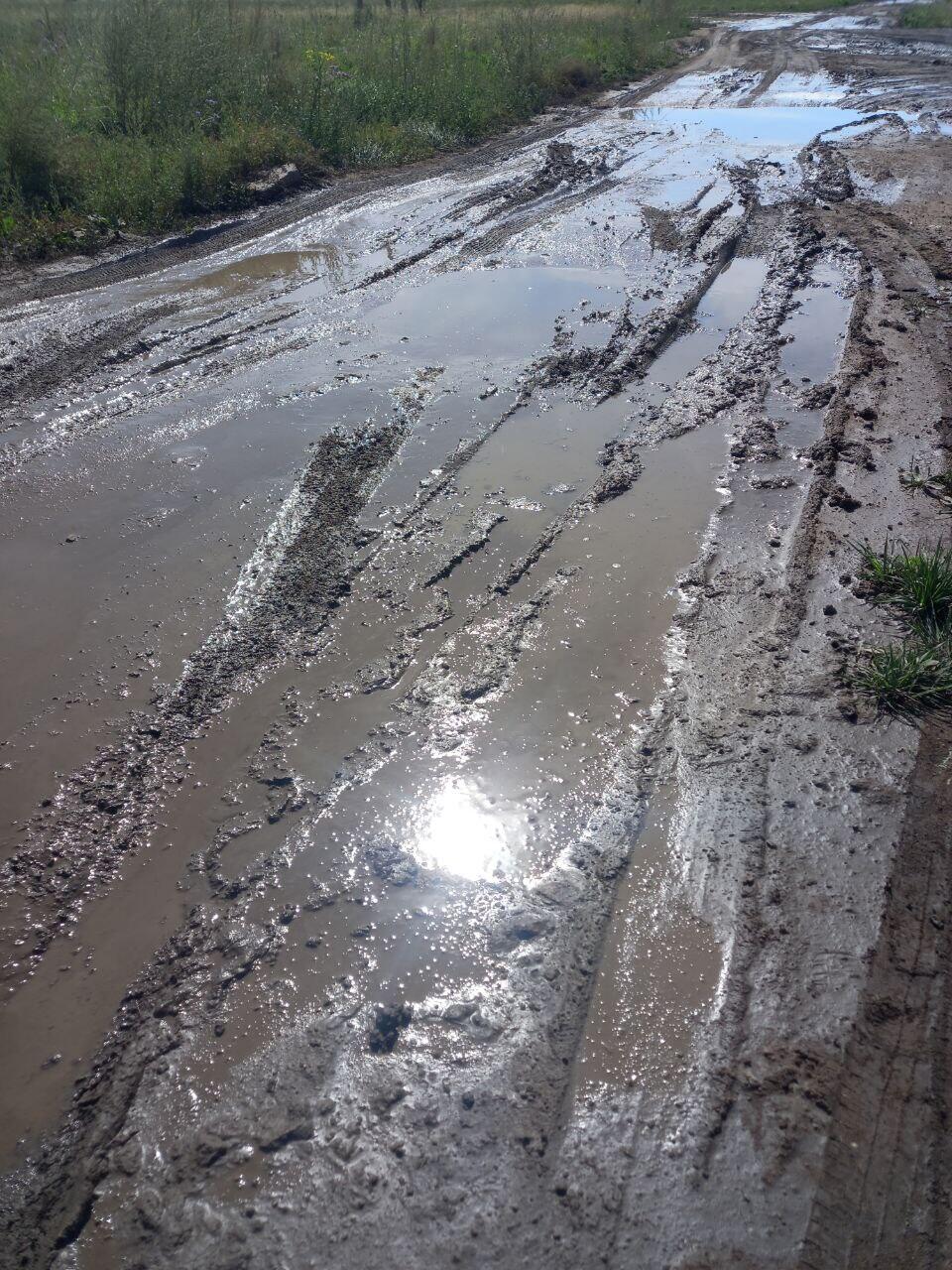 Жители микрорайона Амурский: «мы устали так жить»