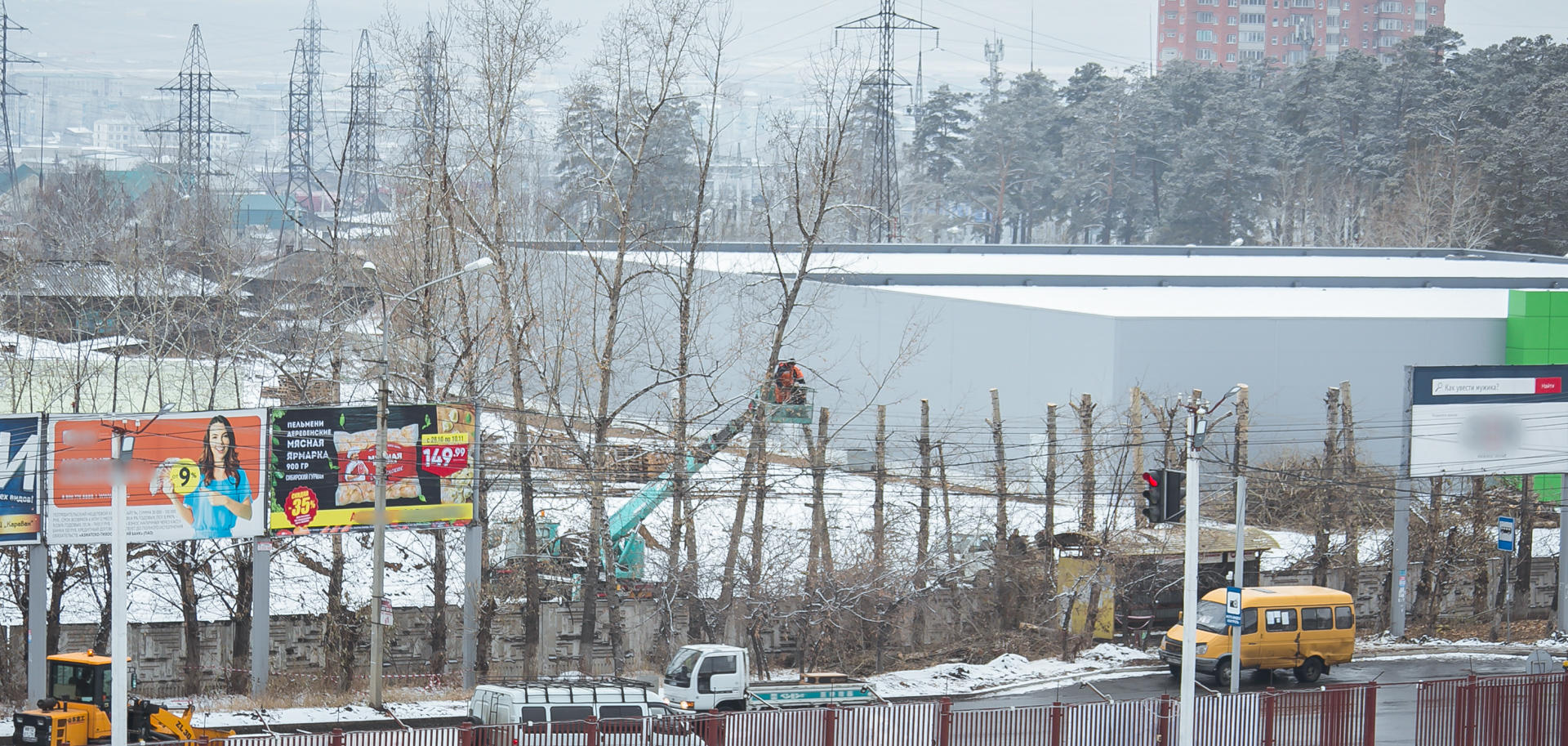 Более чем у 30 деревьев в Чите срезали кроны – очевидец