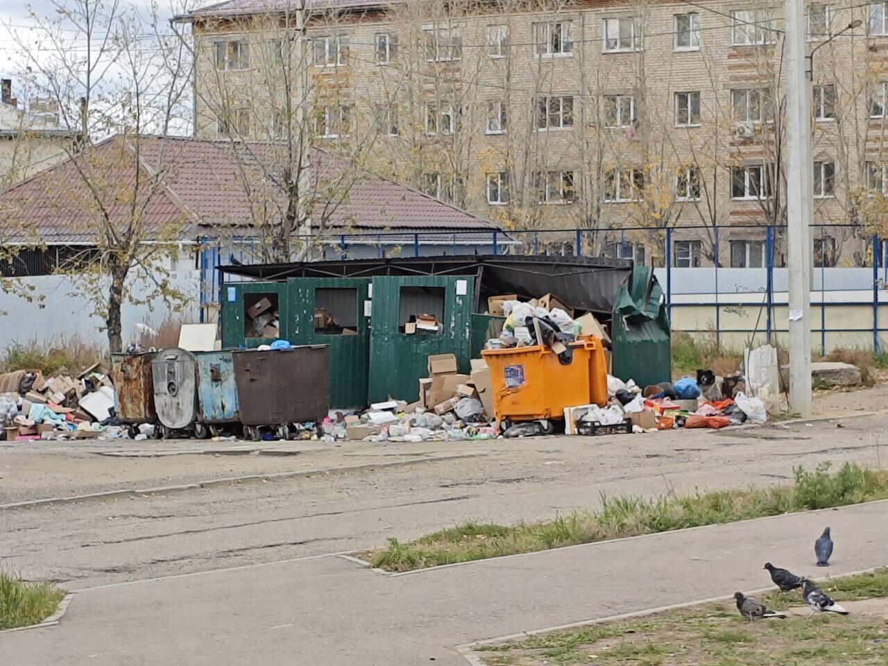 Мусорка рядом со сквером Солнечный