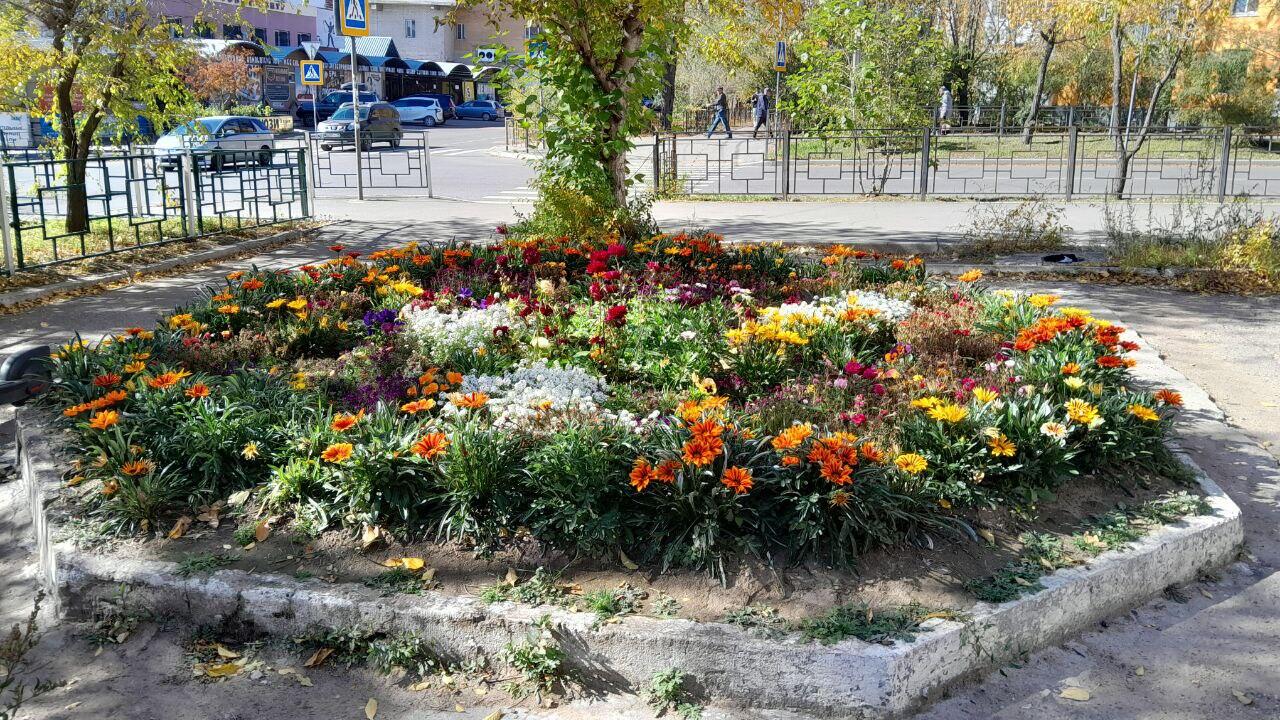 Жители Угданской пожаловались на вырубку деревьев ради парковок