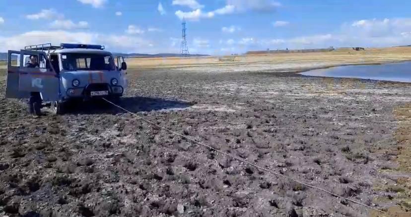 Бурёнку вытащили из болота возле посёлка Ивановка