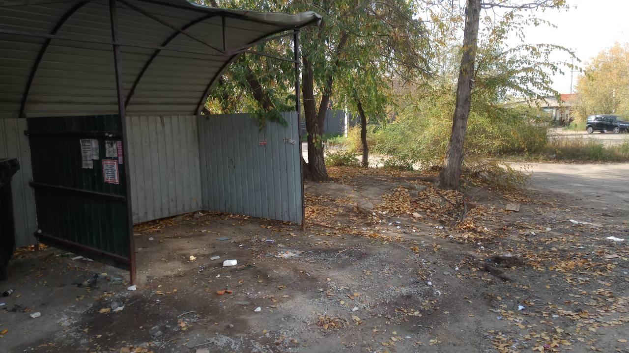 Жители улицы Гаюсана в Чите пожаловались на переполненные мусорные баки