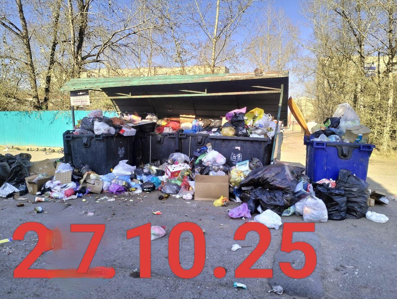 Читинцам предлагают требовать перерасчет оплаты за вывоз мусора