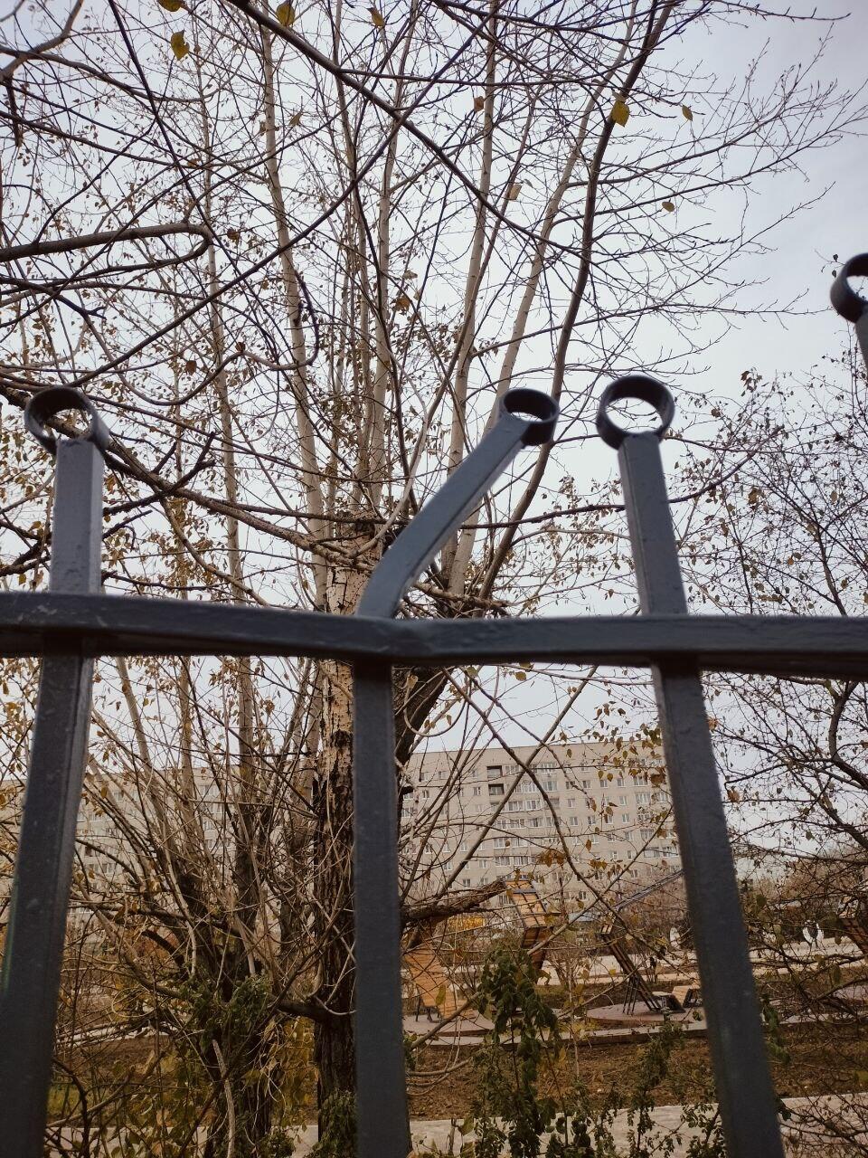 Читинцы высказали свое мнение о благоустроенном парке МЖК