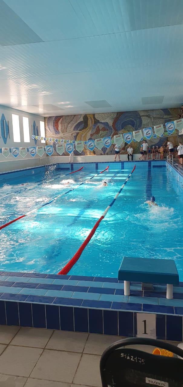 Более 100 человек поучаствовали в первенстве по плаванию в Чите