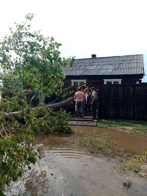 Крупный град уничтожил урожай в селе Шилкинского района
