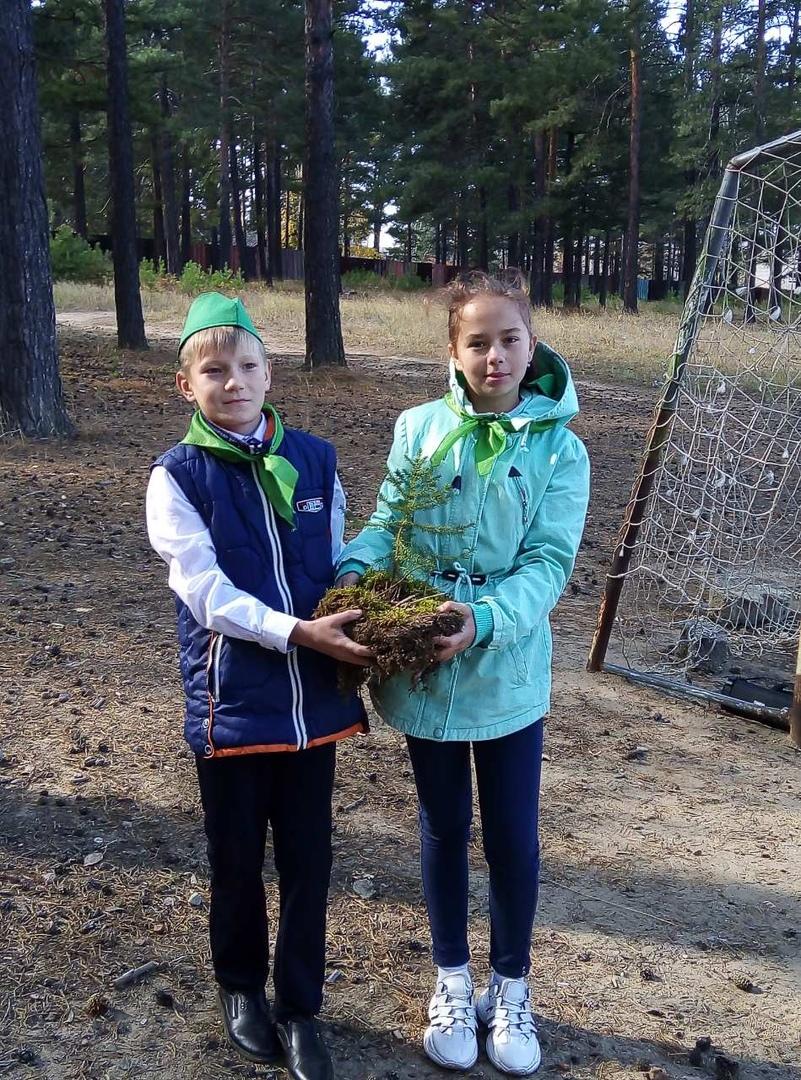 Школьники высадили 16 голубых елей в парке культуры и отдыха в Горном