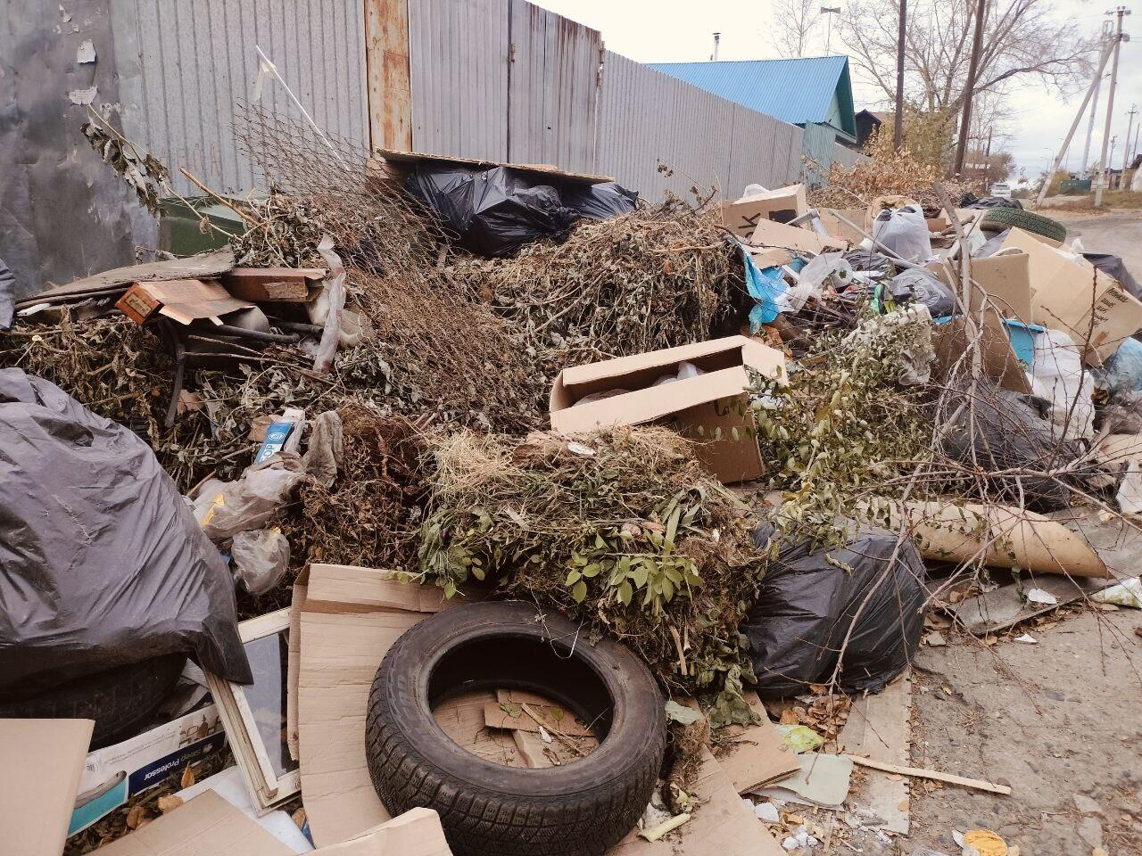 Огромная свалка мусора обнаружена во дворе дома в Чите