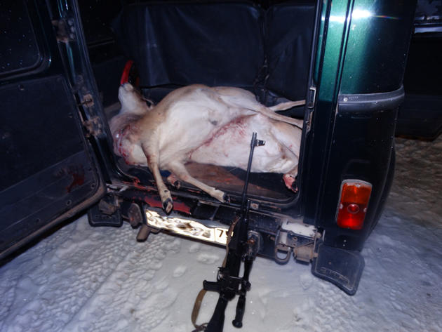 В Забайкалье задержали браконьеров, убивших краснокнижных дзеренов на 627 тыс. руб.
