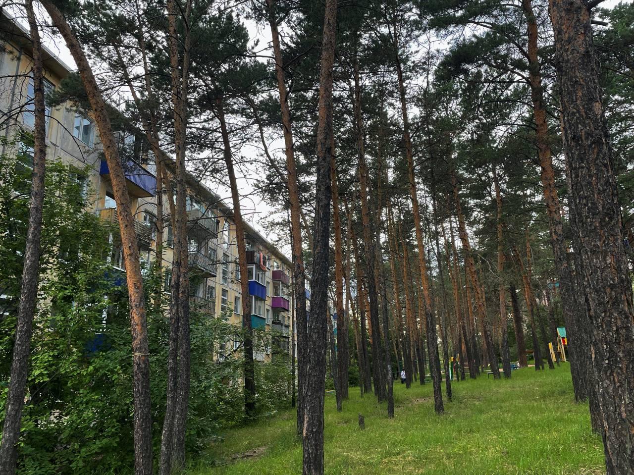 «В сравнении»: Северный и Сосновый Бор