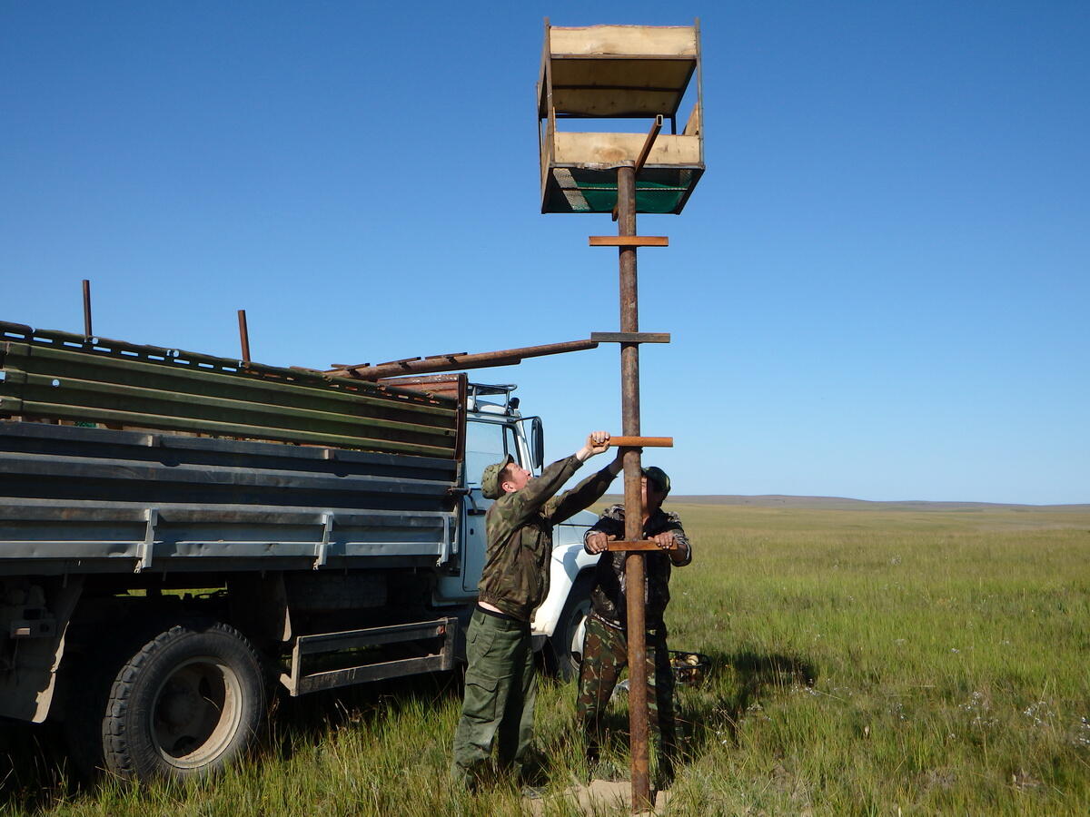 Искусственные гнездовья для птиц Даурского заповедника установили благодаря проекту ОАО «РЖД»