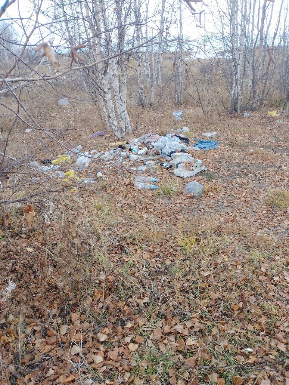 Берега Беклемишевских озер очистили от мусора