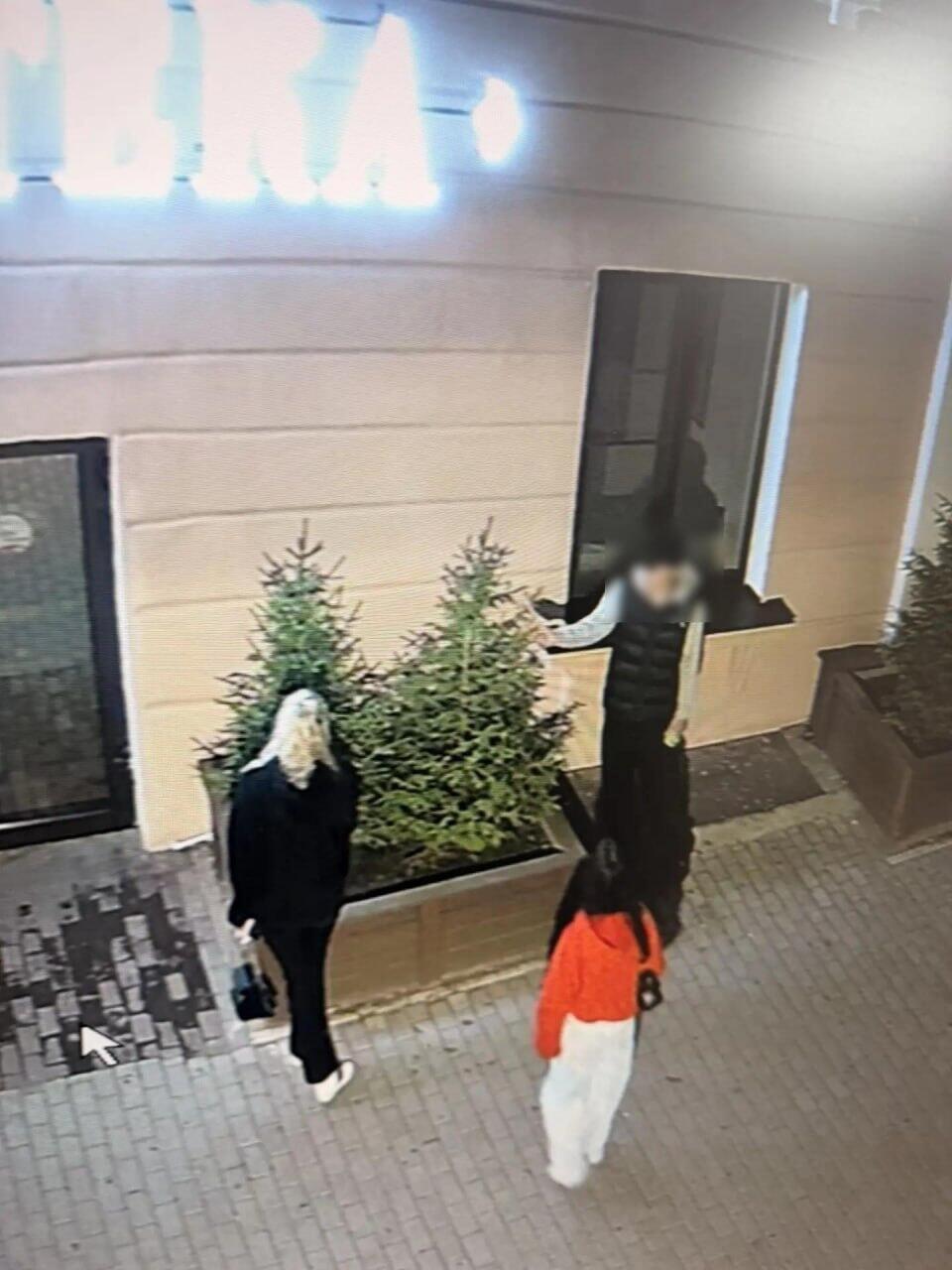 Вандалы-подростки повредили ели возле новой аптеки на Лермонтова