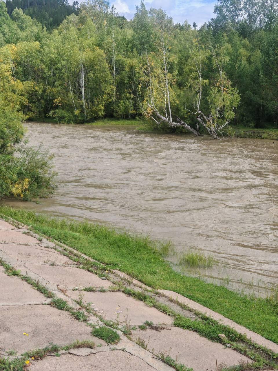 Жители Танхи обвиняют золотодобытчиков в загрязнении реки Кручина