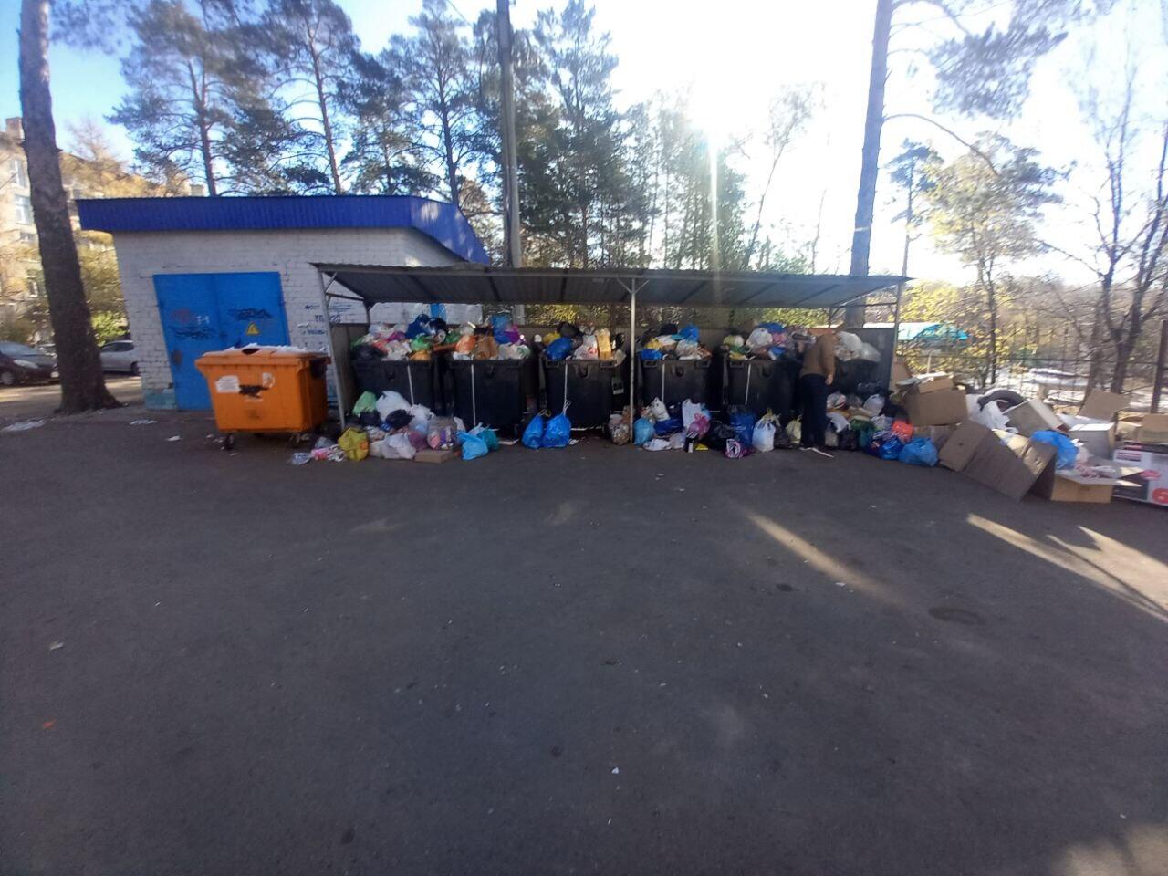 Жители улицы Кайдаловская в Чите пожаловались на невывоз мусора