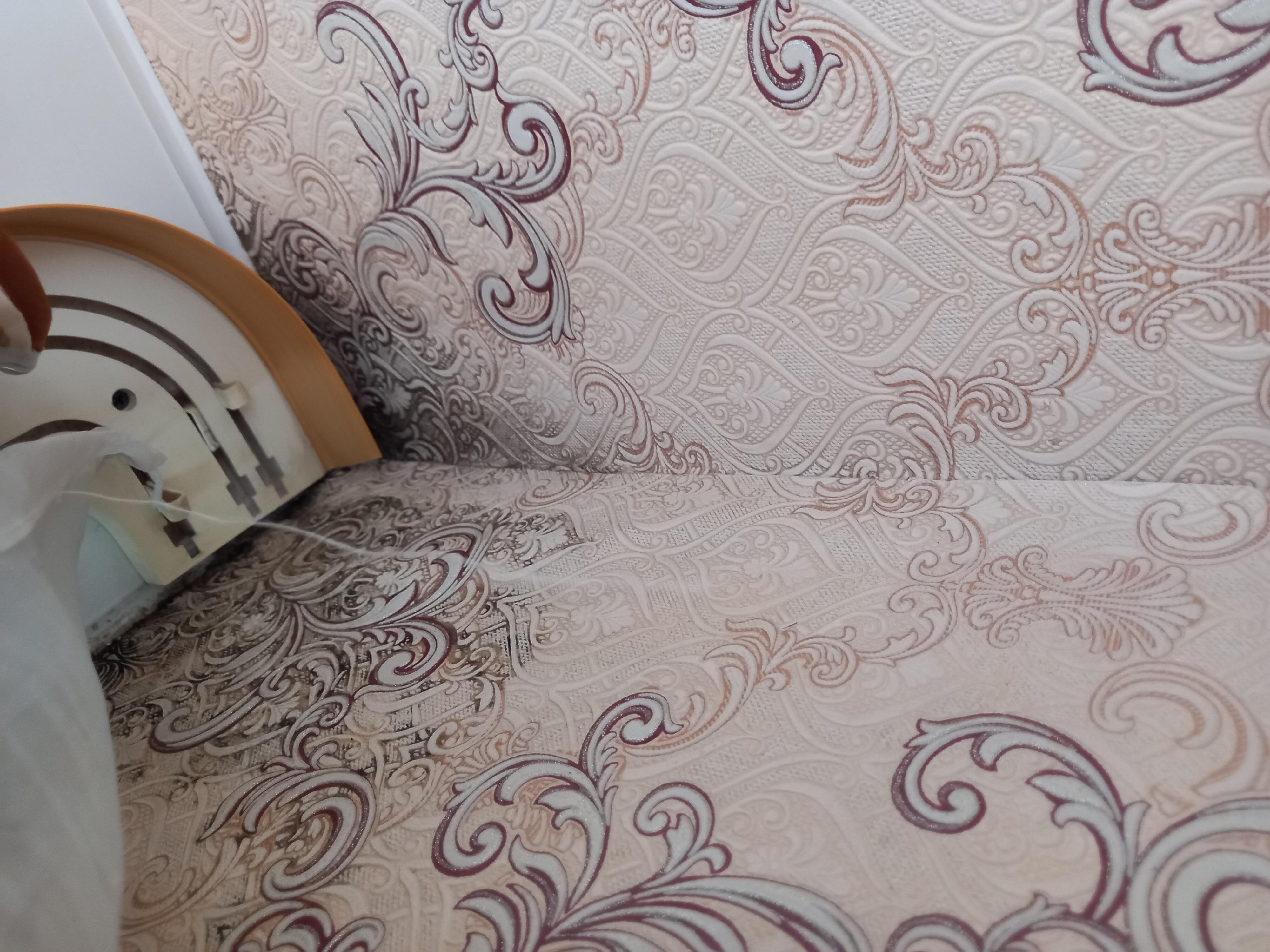 Еще один дом с плесенью обнаружен в Чите