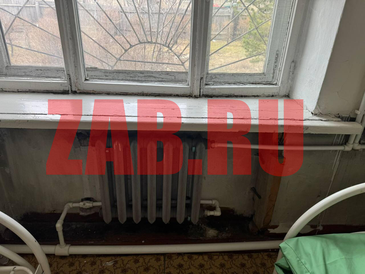 Борзинцы ужаснулись состоянием отделения гинекологии в местной ЦРБ