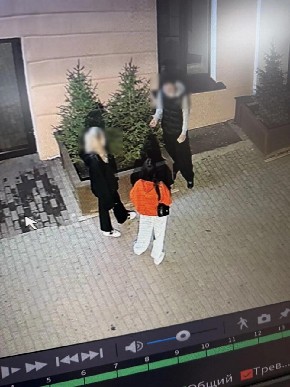 Вандалы-подростки повредили ели возле новой аптеки на Лермонтова