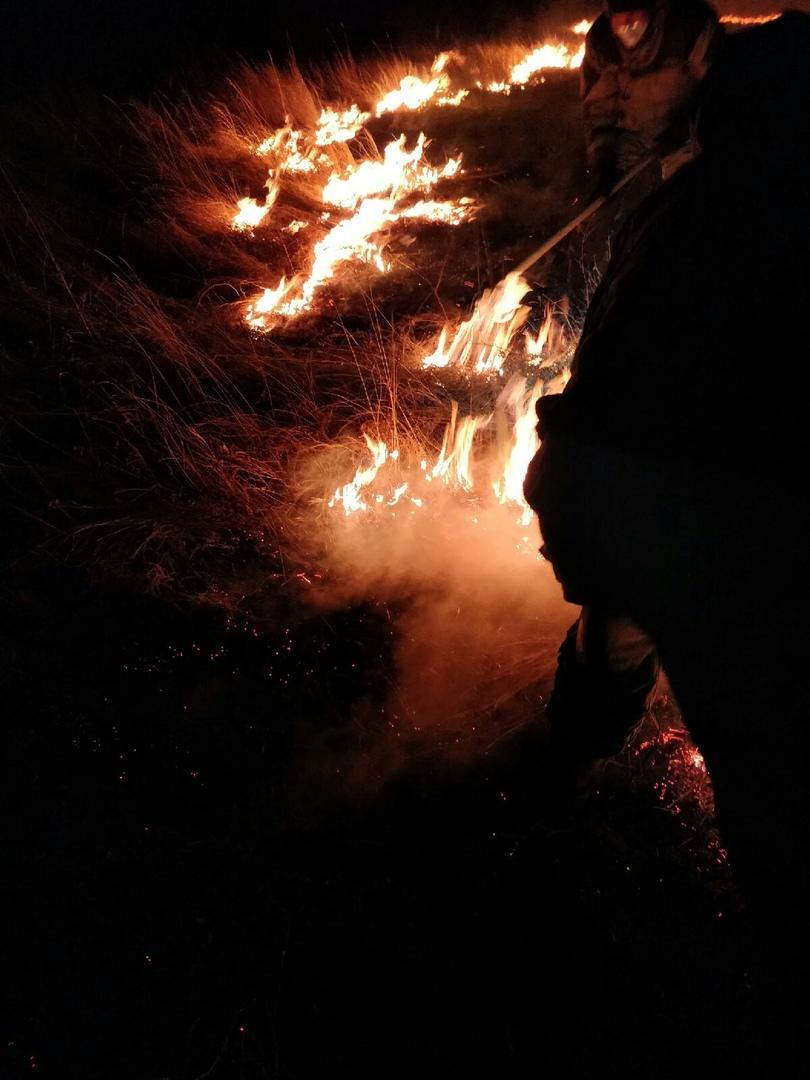 Волонтеры потушили степной пожар около села Сивяково Читинского района