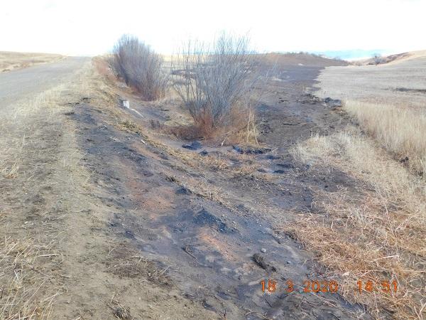 Пожар произошел в Кыринском районе и распространился на Монголию