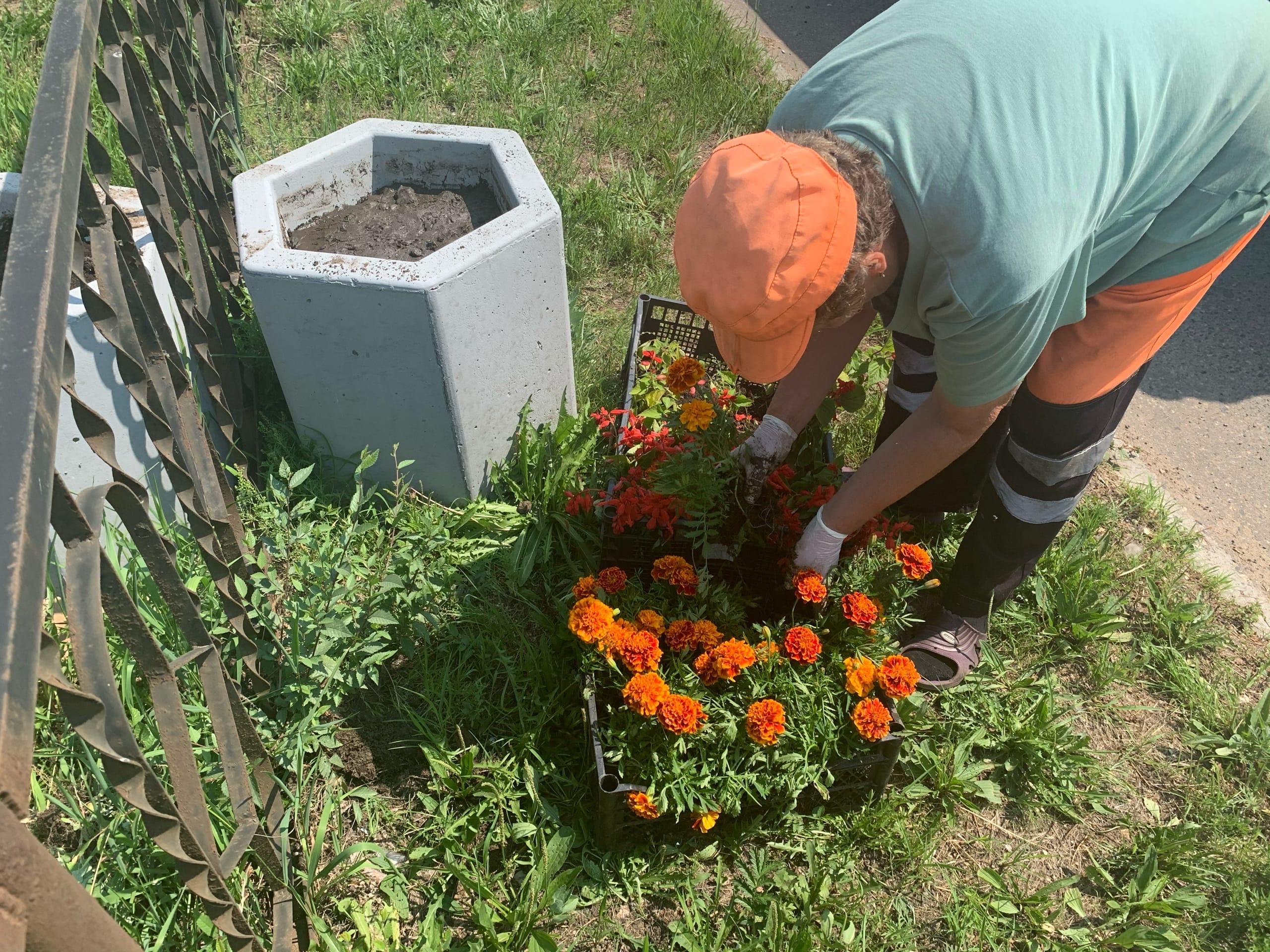 Читинские вазоны «обросли» цветами: рабочие начали высадку растений